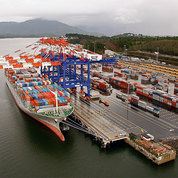 IMPORT & EXPORTSERVICES